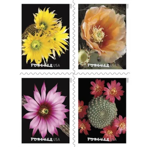 Cactus Flowers 2019 - 5 Booklets 100 Pcs Unused Stamps for Mailing